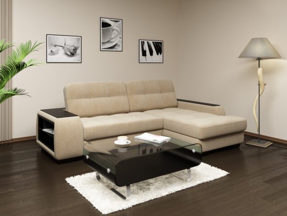 canapé à l'intérieur de l'appartement
