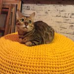pouf tricoté orange