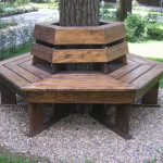 banc autour d'un arbre