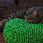 pouf tricoté avec un chat