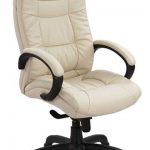Chaise de bureau de ecoskin