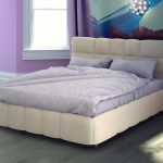 cama nas cores da cama