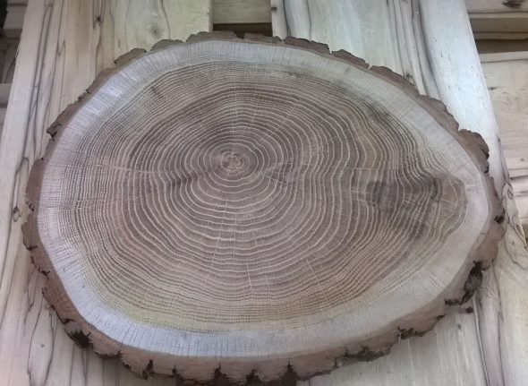 bois coupé pour la table