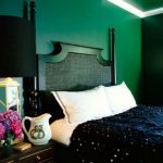 Mobilier noir dans la chambre verte
