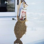 poisson au rateau