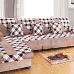 cape sur un sofa dans une cage