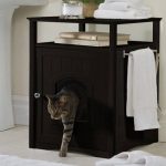 table de chevet avec chat