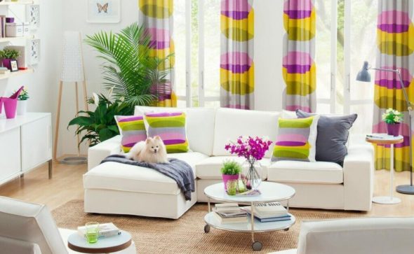 contrastes à l'intérieur blanc