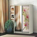 Armoire coulissante de la 2e orchidée pliante