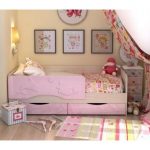 dauphin rose