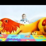 lion belmarco lit