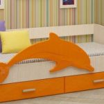 dauphin lit orange