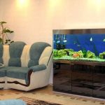 Curbstone sous l'aquarium à l'intérieur de la maison