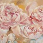 Pivoine Guimauve