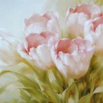 Photo Tulipes
