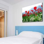 image de fleurs de champ-coquelicots