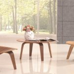chaises en contreplaqué avec table
