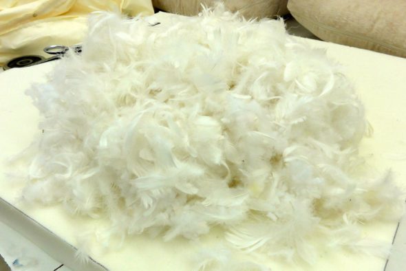 duvet et des plumes