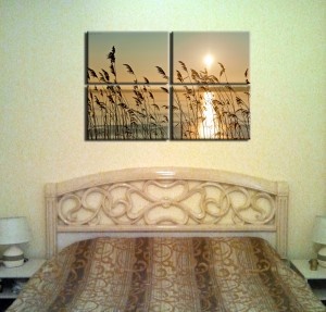 paysage naturel le soir
