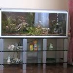 armoire en verre sous l'aquarium