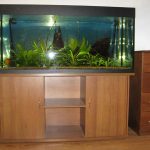 piédestal pour aquarium 500 litres