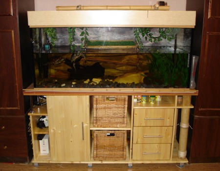 piédestal pour aquarium à l'intérieur