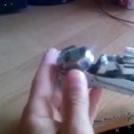 Boucle UE Transformer