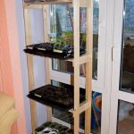 Rack für Setzlinge auf der Fensterbank mit ihren eigenen Händen