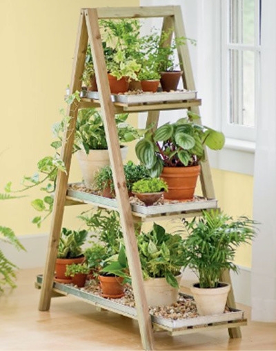 Rayonnage pour plantes dans le salon