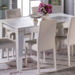 chaises de salon blanc