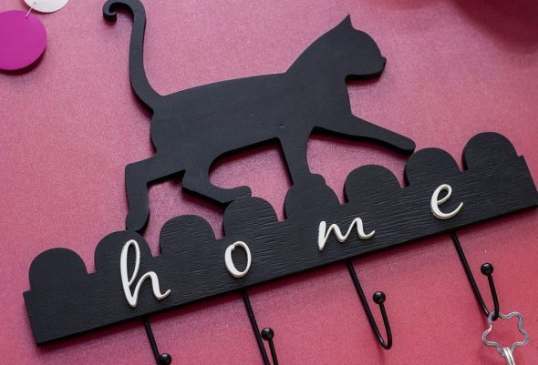 femme de ménage chat