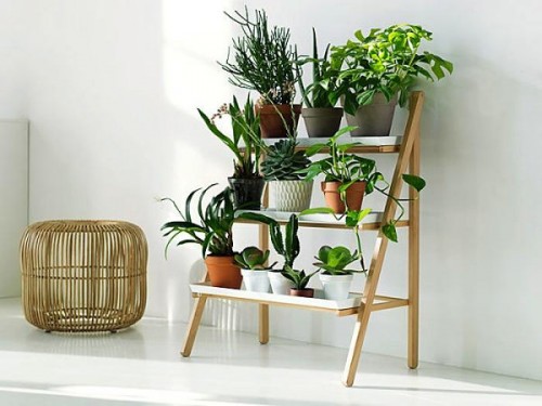 étagère pour fleurs