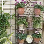 photo de tablettes de fleurs en plein air