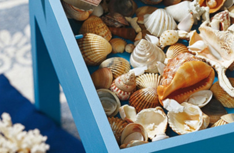 décoration de coquille