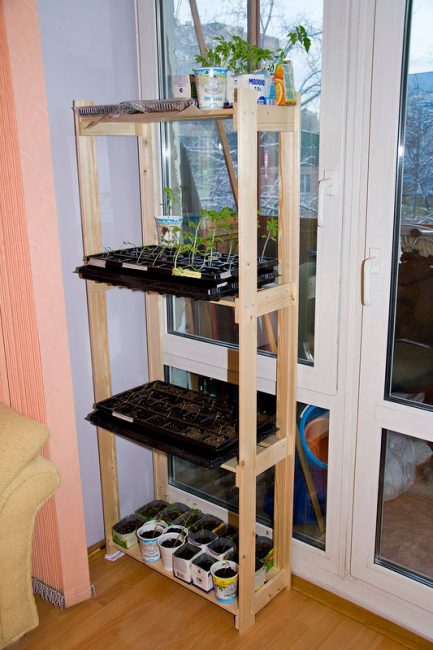 rack pour les plants de bois