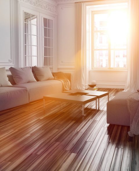 Lumière, propreté et confort dans la maison