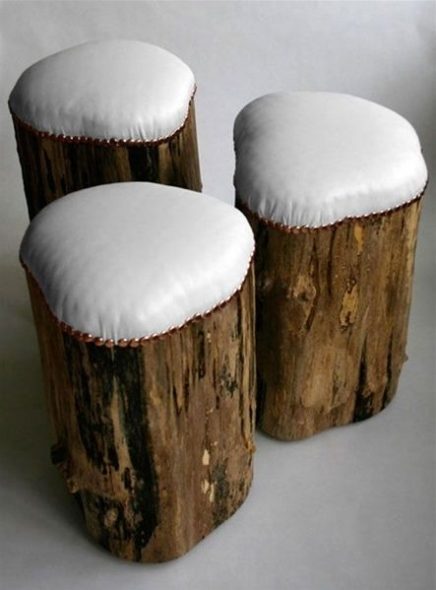 Selles de souches