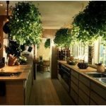 Intérieur inhabituel de la cuisine sur le Feng Shui