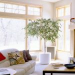 Angles Feng Shui dans le salon est préférable de ne pas laisser vide, ils peuvent accueillir des plantes