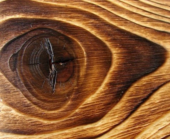 Échantillon de bois