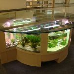 Aquarium sous la table - élégant et original
