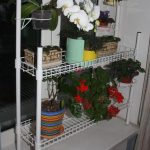 Casier à fleurs blanches sur le rebord de la fenêtre