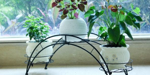 Le support le plus durable