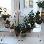 Etagère en métal pour fleurs en forme de colline