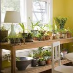 Étagère de sol pour les fleurs à une grande fenêtre