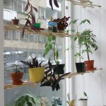 Étagère inhabituelle pour les fleurs sur le rebord de la fenêtre