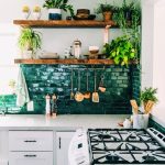 Étagères ouvertes pour les plantes dans la cuisine