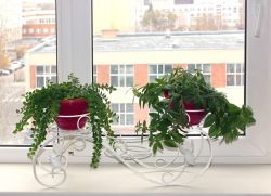 Stand pour trois pots de fleurs