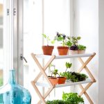 Stand de fleurs sur le rebord de la fenêtre
