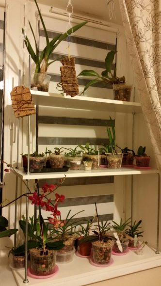 Support rack de LDSP